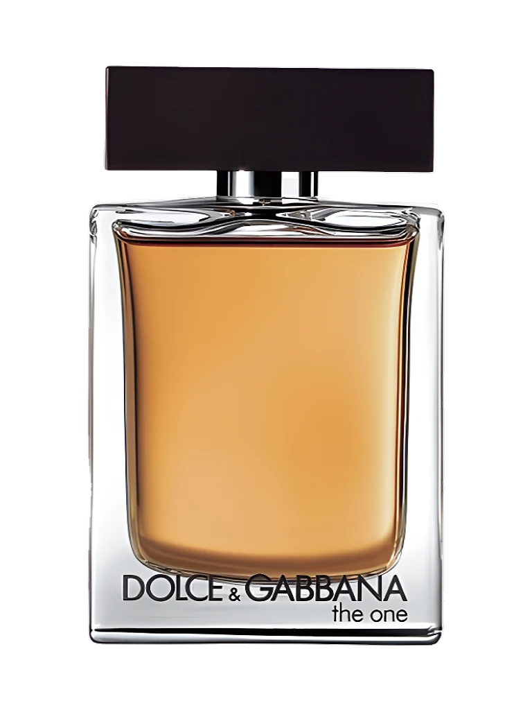 Dolce & Gabbana The One for Men