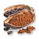 Cabosse de cacao