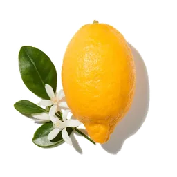 Bergamote