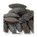 Coumarine