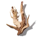 Bois flotté