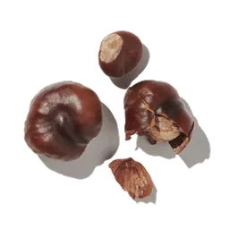 Noisette