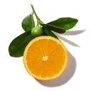 Mandarine