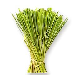 Citronnelle