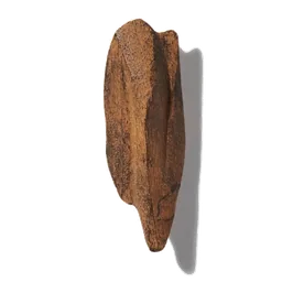 Chêne