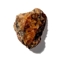 Opoponax