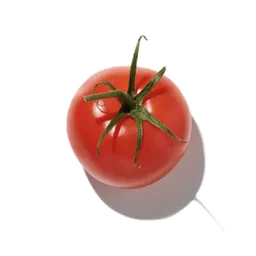 Tomato Leaf