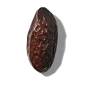 Fève tonka
